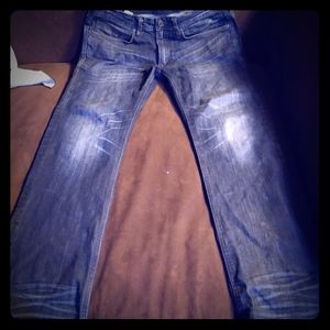 Buffalo David Bitton